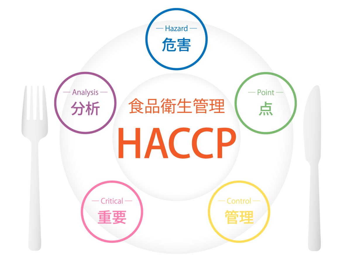 「haccp（ハサップ）」って何？わかりやすく説明してみよう！